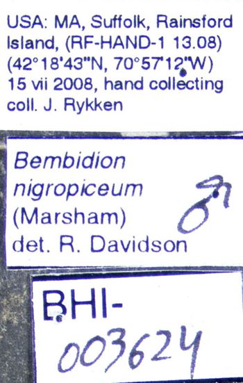 Media type: image;   Entomology 602227 Aspect: labels